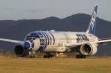 NH7029 (ANA7029) All Nippon Flight Tracking and History 04 .